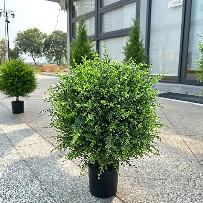 EverGreen Cedar - Instant Curb Appeal + 50% OFF - Image 5